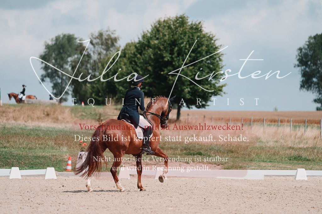 DSC_3820 | Pferde- und Turnierfotografie in Westsachsen. Pferdeportraits, Auftragszeichnungen und intuitive Kunst.