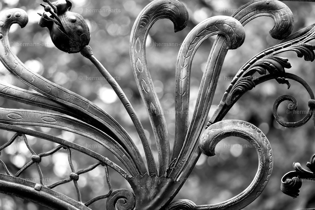 Hermann-Arts_Barockes Tor_044 | Photo Foto Kunst Art schwarzweiss Bilder Rheine Münster Berlin Blumen 
