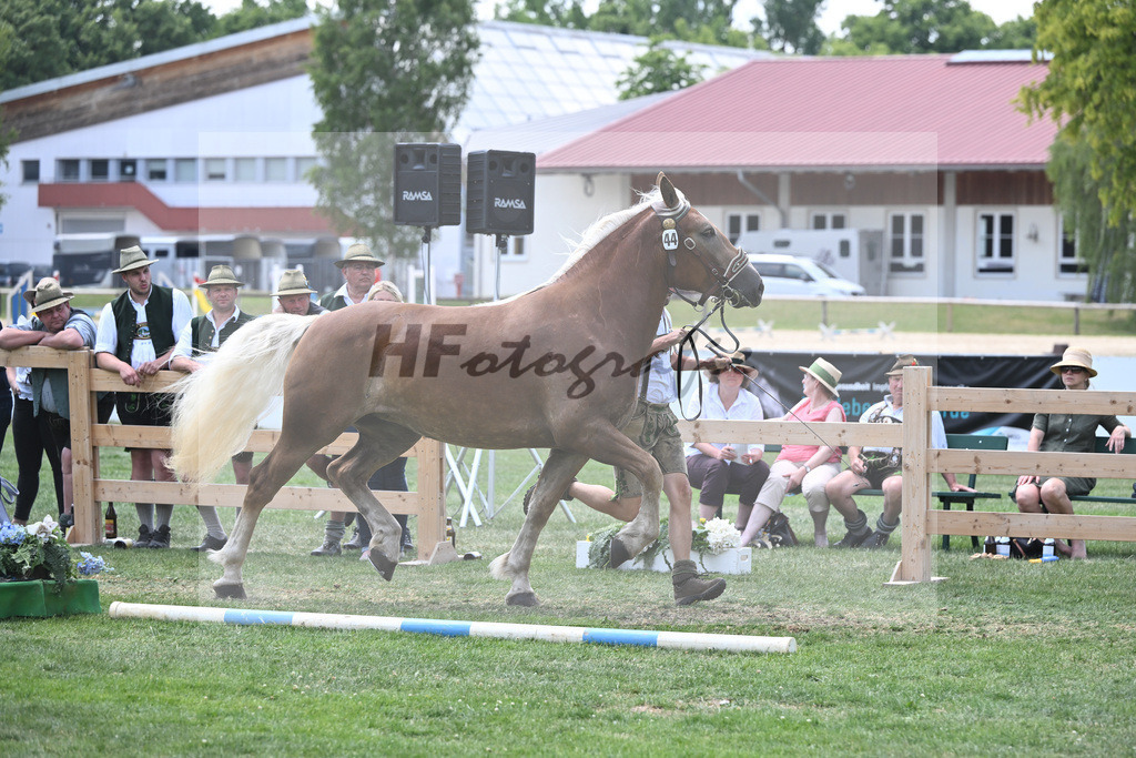 Kat-Nr. 44 Nanni_Probst_20230690 | hf-fotografie - Realisiert mit Pictrs.com