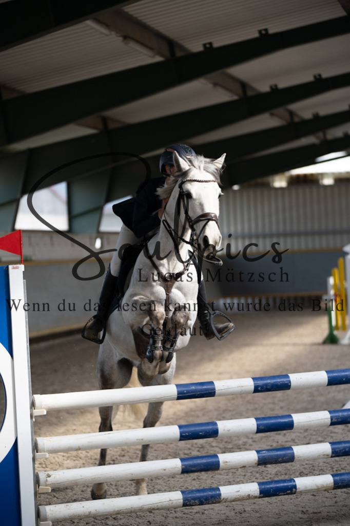 A7V08273 | Pferdefotograf