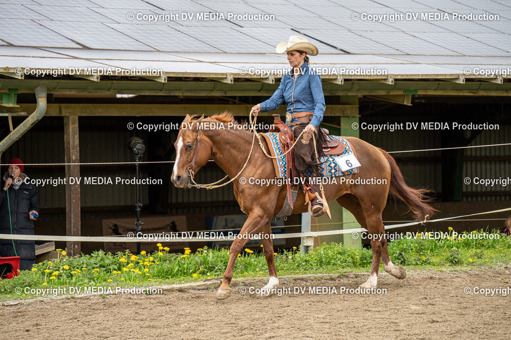 BAL00761 | dv-media-shop - Realisiert mit Pictrs.com