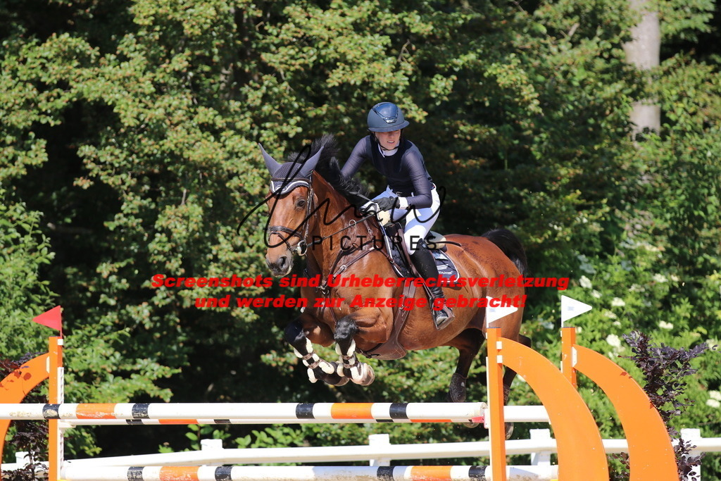 IMG_3147 | lmwpictures - Realisiert mit Pictrs.com