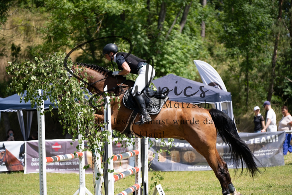 A7V05830 | Pferdefotograf