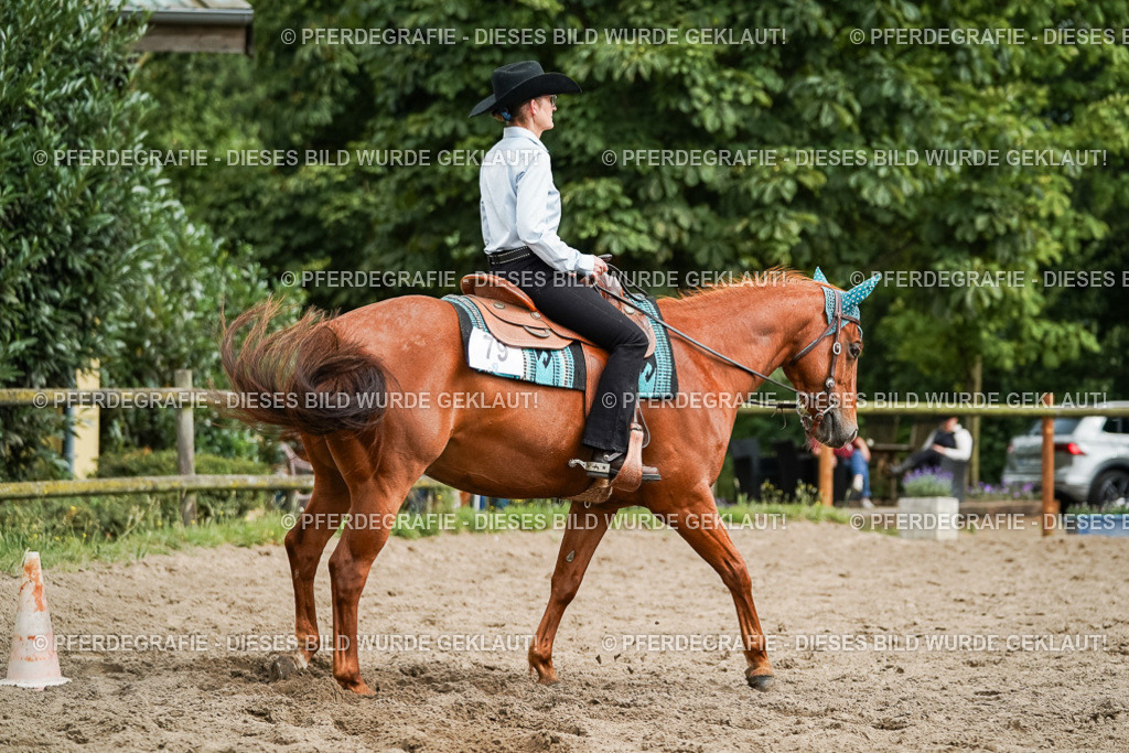 DSC03821 | Pferdegrafie