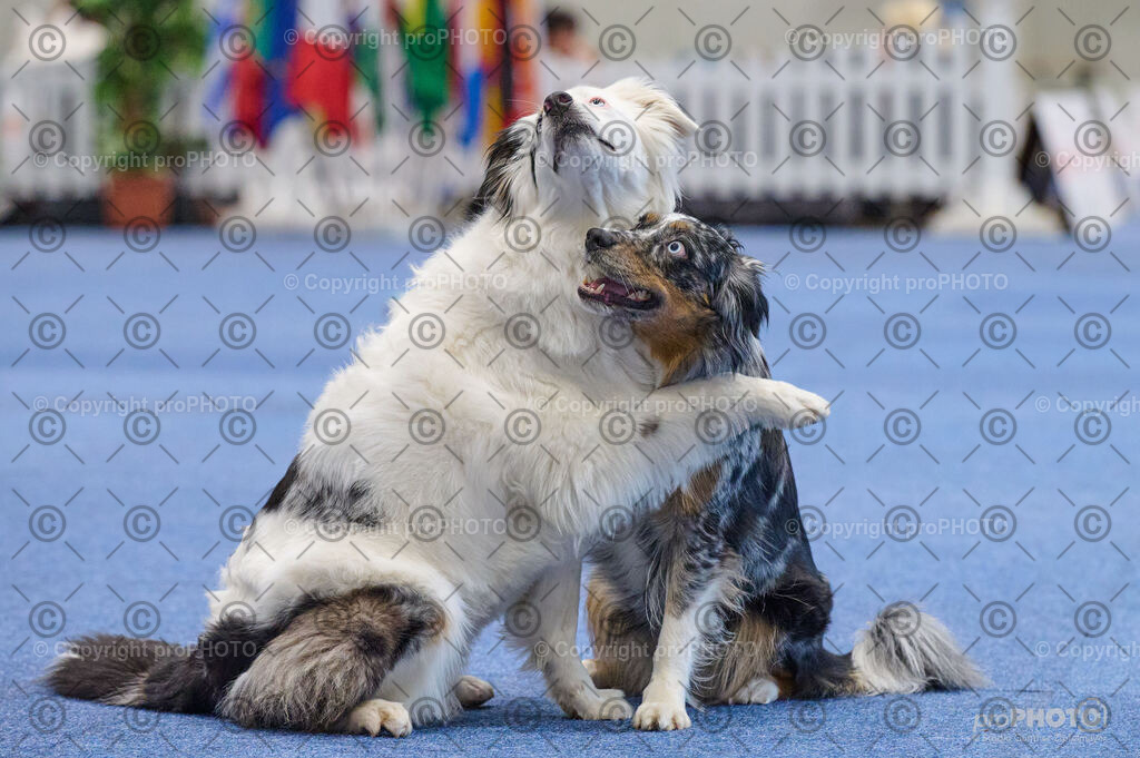 202406_ÖKV-IHA-Tulln24_DSC_4640 | proPHOTO - Realisiert mit Pictrs.com