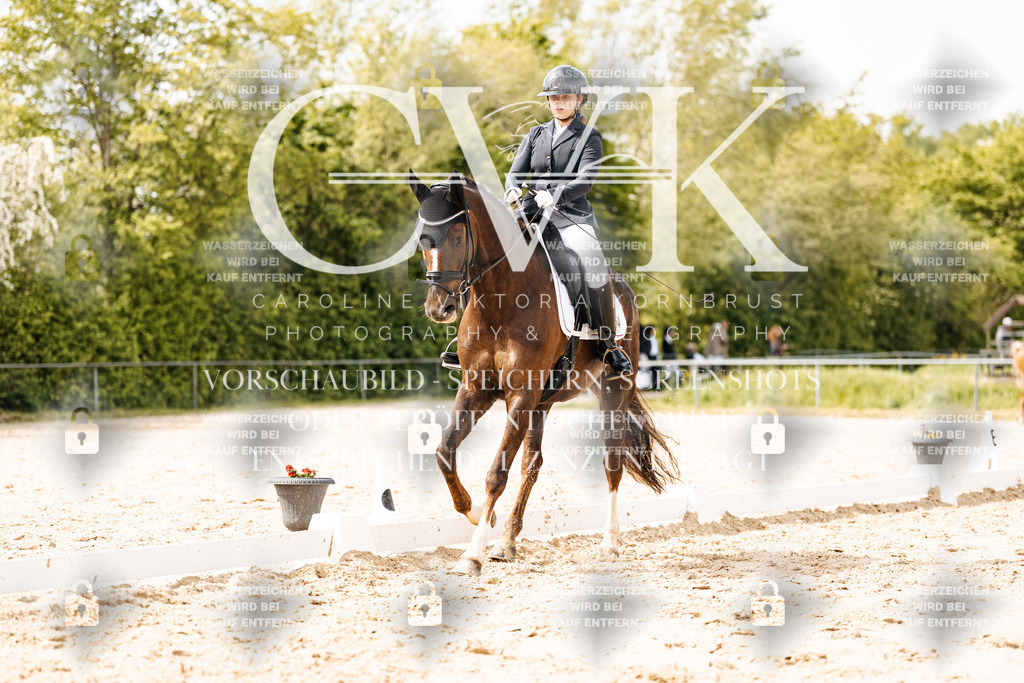 CK901350 | Turnierfotografie Pferdefotografie Trier Rheinland-Pfalz Pferdesport Reitsport Tierfotografie Sportfotografie Pferdevideo Pferdevideografie Equestrianvideography equestrianphotography  - Realisiert mit Pictrs.com