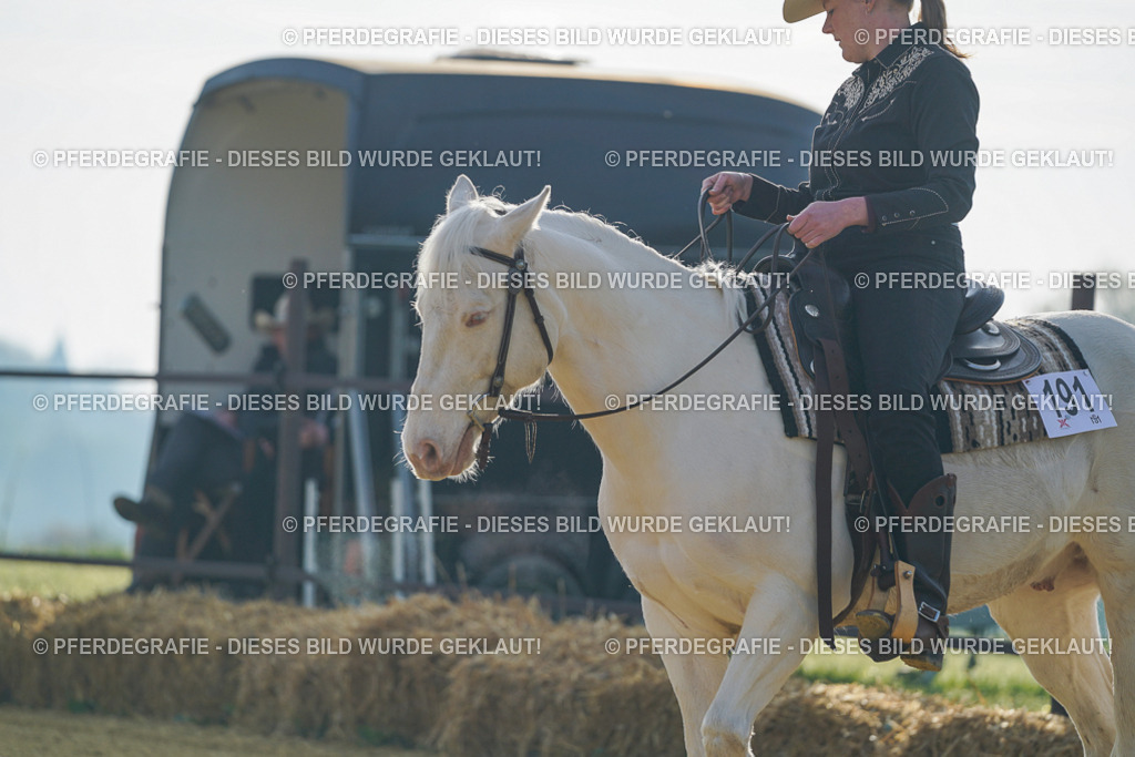 DSC00029 | Pferdegrafie