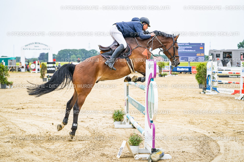 DSC09005 | Pferdegrafie