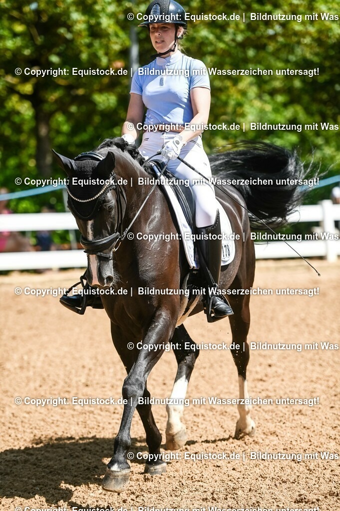 20230715_02_Dressurreiterprüfung Kl.L_0026 | equistock