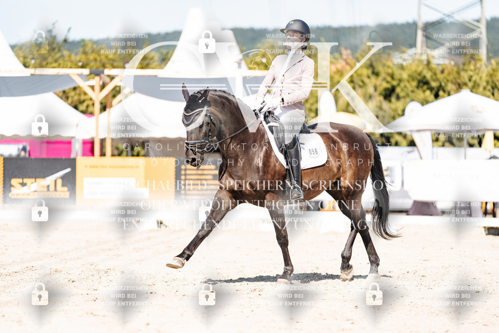 CK909393 | Turnierfotografie Pferdefotografie Trier Rheinland-Pfalz Pferdesport Reitsport Tierfotografie Sportfotografie Pferdevideo Pferdevideografie Equestrianvideography equestrianphotography  - Realisiert mit Pictrs.com