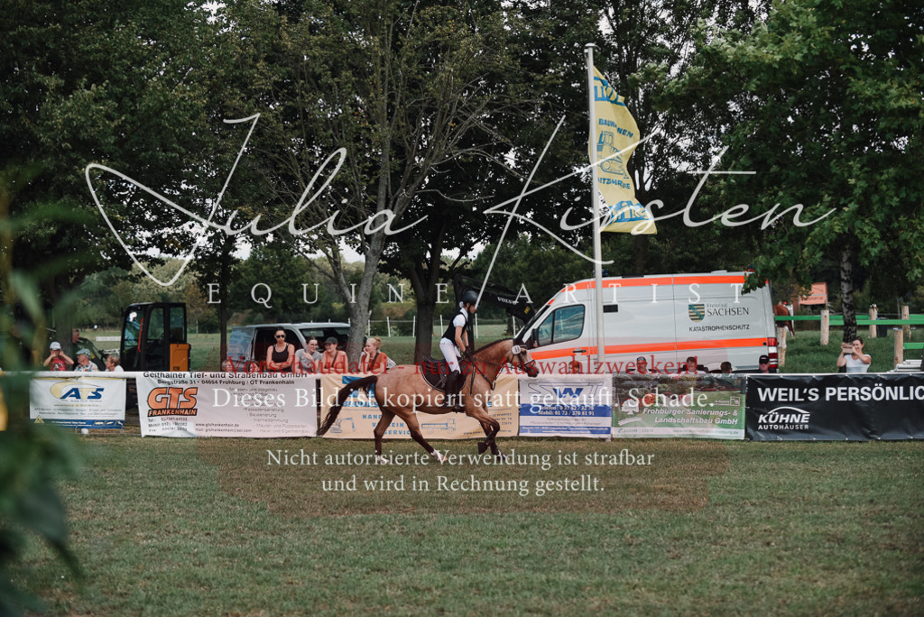 DSC_5834 | Pferde- und Turnierfotografie in Westsachsen. Pferdeportraits, Auftragszeichnungen und intuitive Kunst.