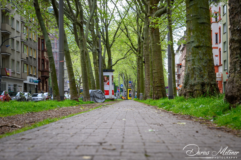 Mainzer Neustadt | Bilder aus der Mainzer Neustadt