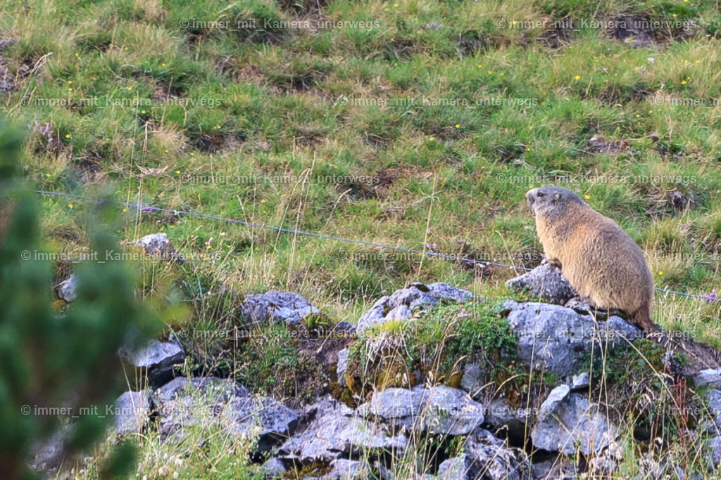 20230816174739_IMG_1142 | immer_mit_kamera_unterwegs