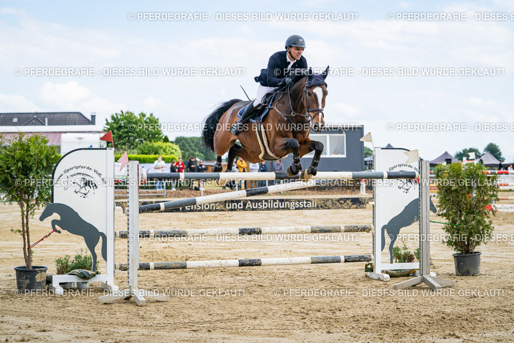 DSC06825 | Pferdegrafie