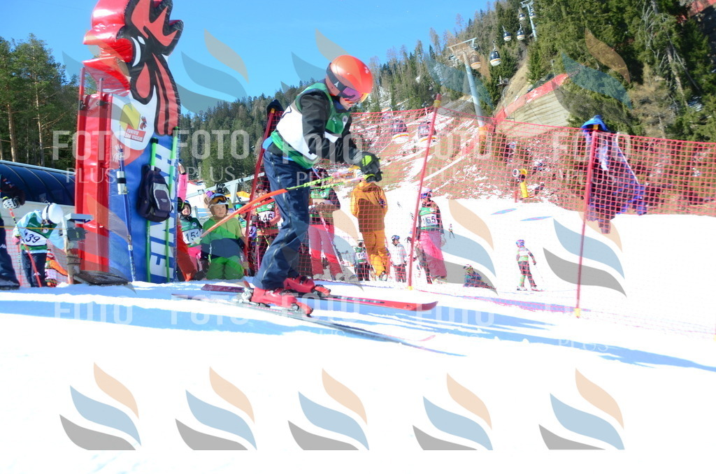 C6010 | holidayphoto