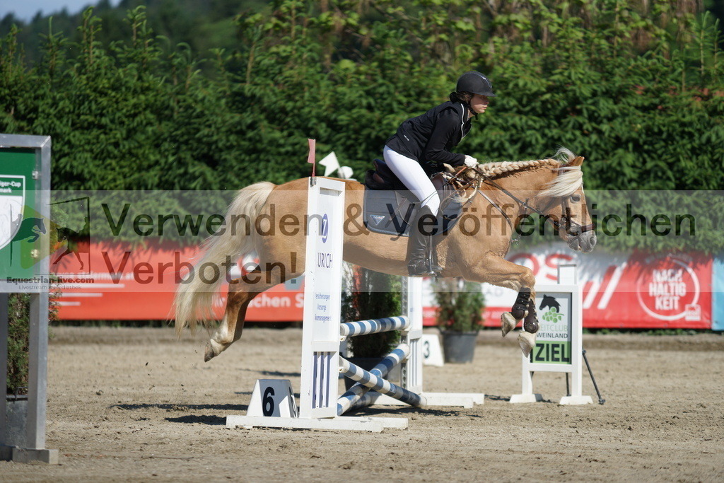 DSC06114 | equestrian-live-com