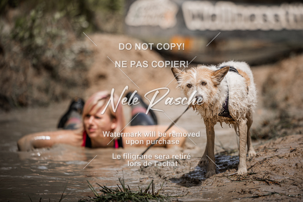 nelerasche_Hoope2026_Sa1230-1300_27 | nelerasche