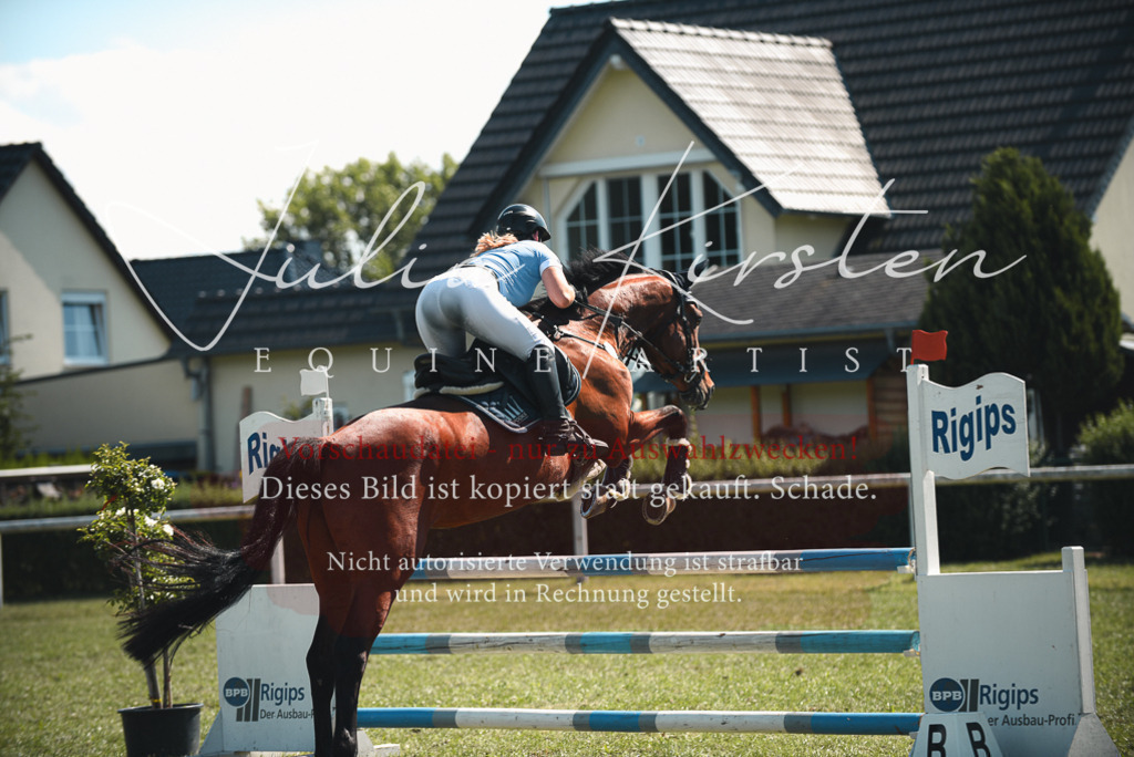 DSC_7152 | Pferde- und Turnierfotografie in Westsachsen. Pferdeportraits, Auftragszeichnungen und intuitive Kunst.