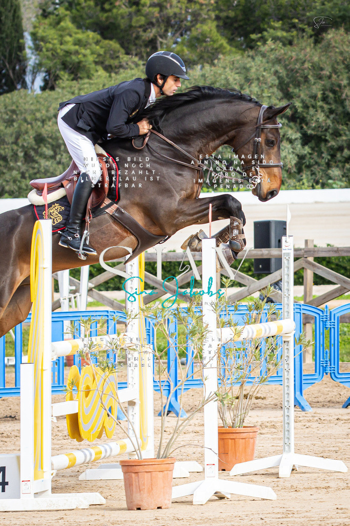 IMG_2424 | s-jay-photography - Realisiert mit Pictrs.com