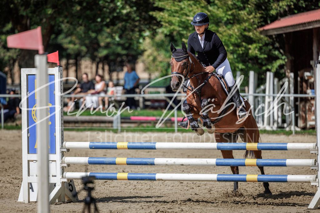 20260905-_3LI9175 | Tierfotografie Pferde, Hunde, Katzen, Haustiere.
Turnierfotografie Reitturniere, Reiten, Springreiten, Dressur in Hanau, dem Main-Kinzig-Kreis und dem Rhein-Main- Gebiet um Frankfurt