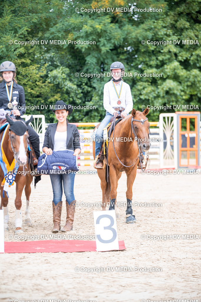 ZS3_5129 | dv-media-shop - Realisiert mit Pictrs.com