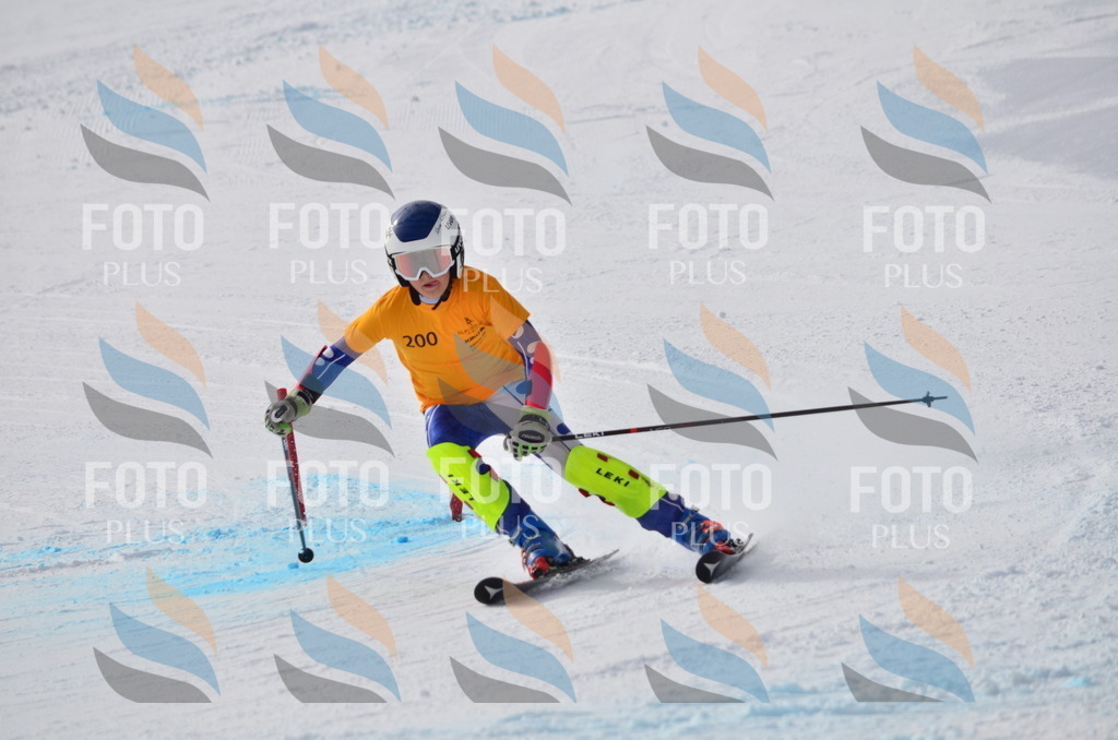 C8115 | holidayphoto