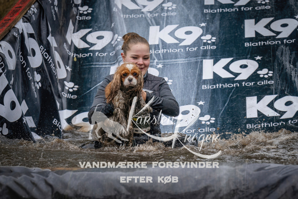 1248_ZZ90520 | kk-dogfotos
