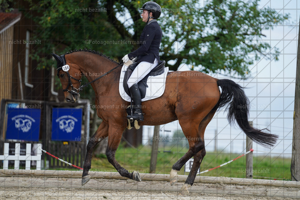 20230826-FAH05158 | Forstinning, 2023, Dressurturnier, Turniersportbilder, Turnierfotografen Bayern, Fotoagentur Herrmann, Reitsportfotografie, Turnierbilder