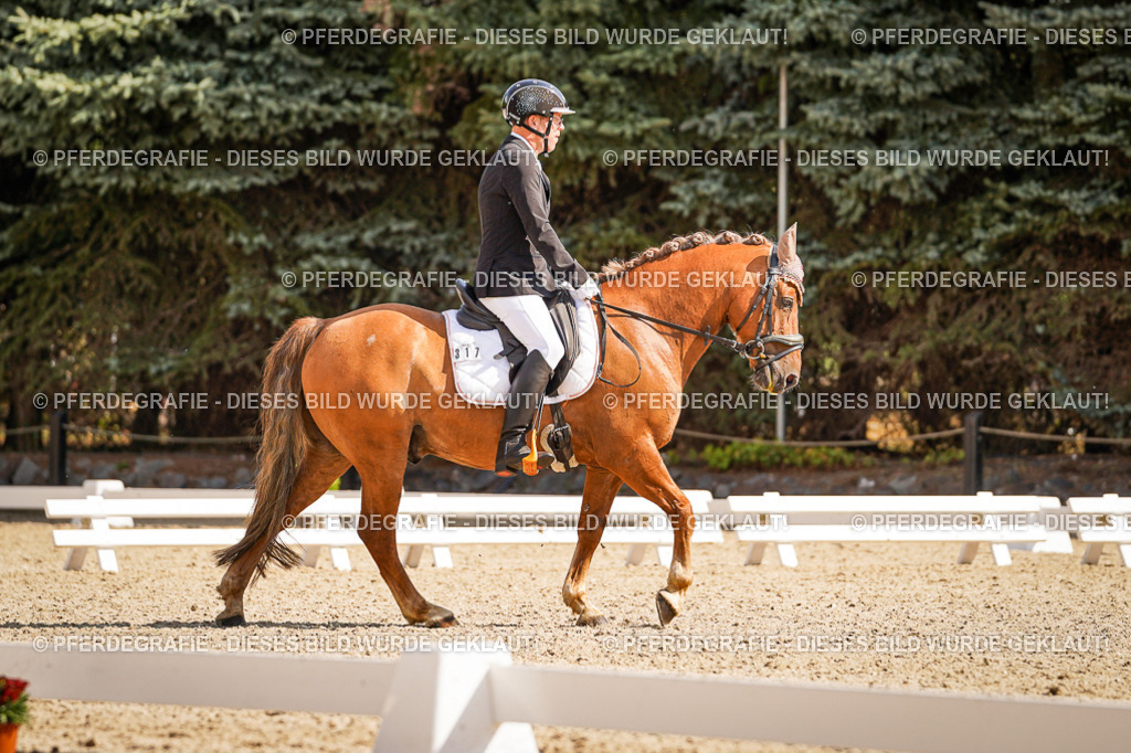 DSC00775 | Pferdegrafie