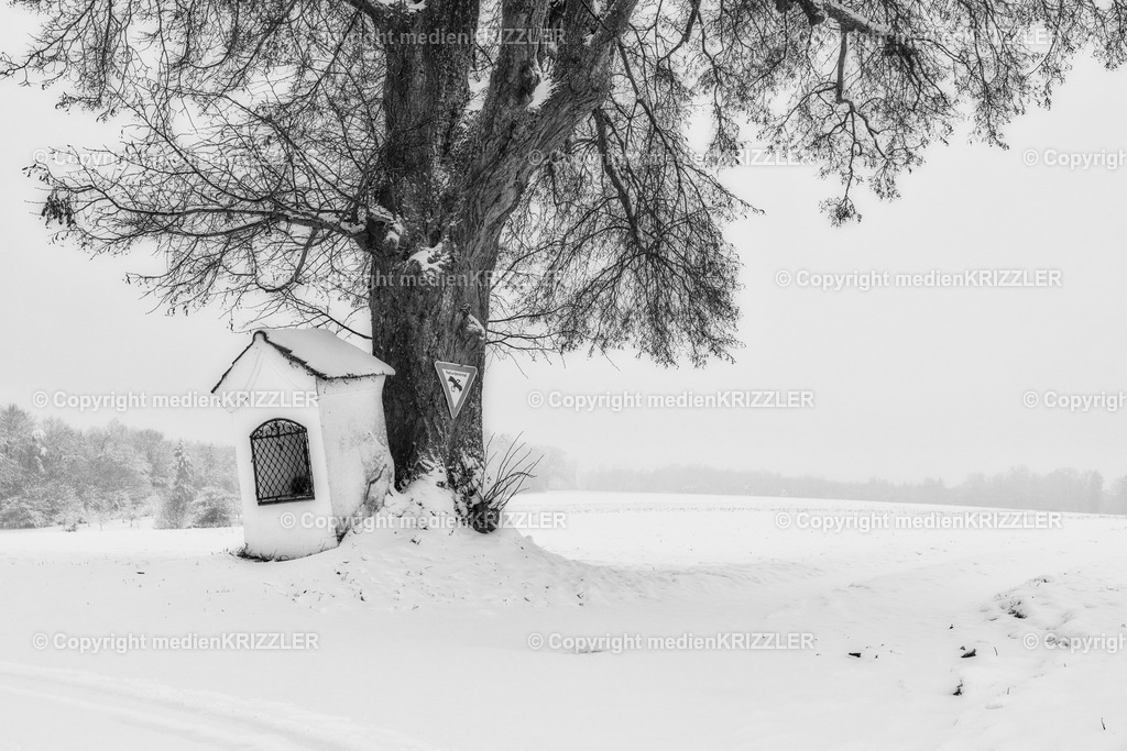 _J3A9549 | medienkrizzler - Realisiert mit Pictrs.com