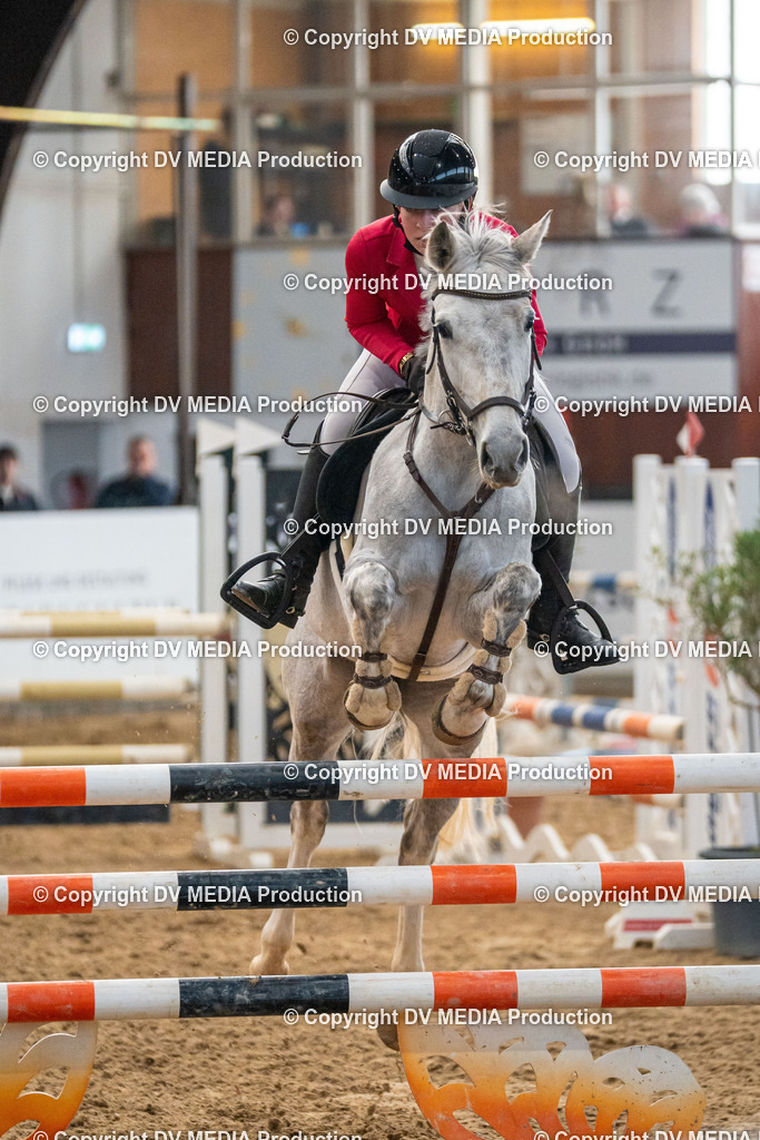 Kranichstein Tag 2-164 | dv-media-shop - Realisiert mit Pictrs.com