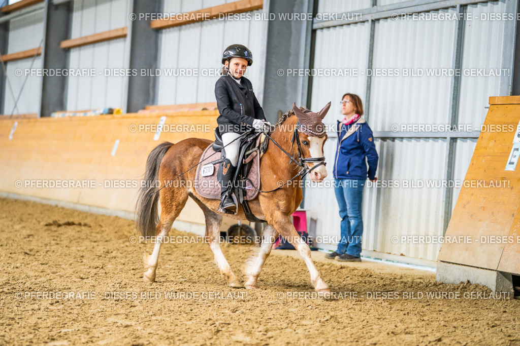 DSC03045 | Pferdegrafie