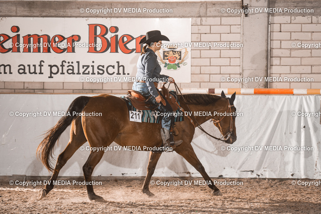 ZH101065 | dv-media-shop - Realisiert mit Pictrs.com