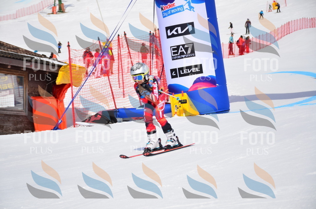 VR4_6979 | holidayphoto