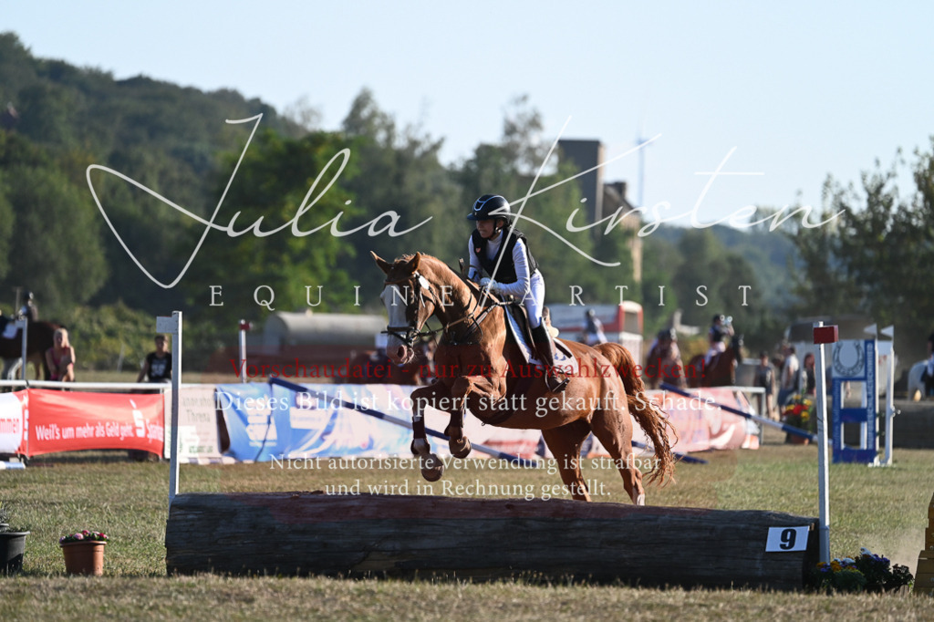 DSC_9127 | Pferde- und Turnierfotografie in Westsachsen. Pferdeportraits, Auftragszeichnungen und intuitive Kunst.
