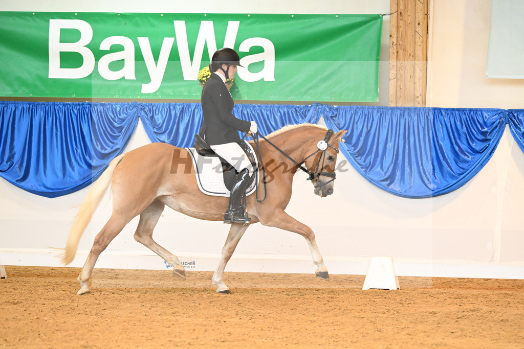 Kat-Nr. 247 Belle Fleur_Stange_54222032 | hf-fotografie - Realisiert mit Pictrs.com