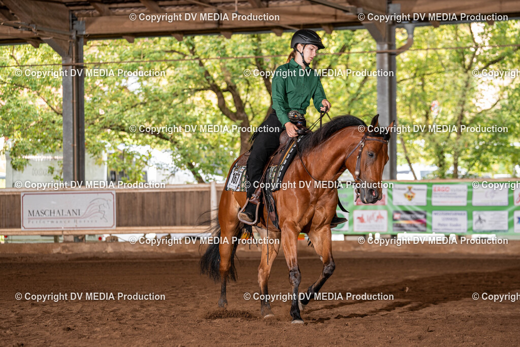 Erbach Tag 2-197 | dv-media-shop - Realisiert mit Pictrs.com