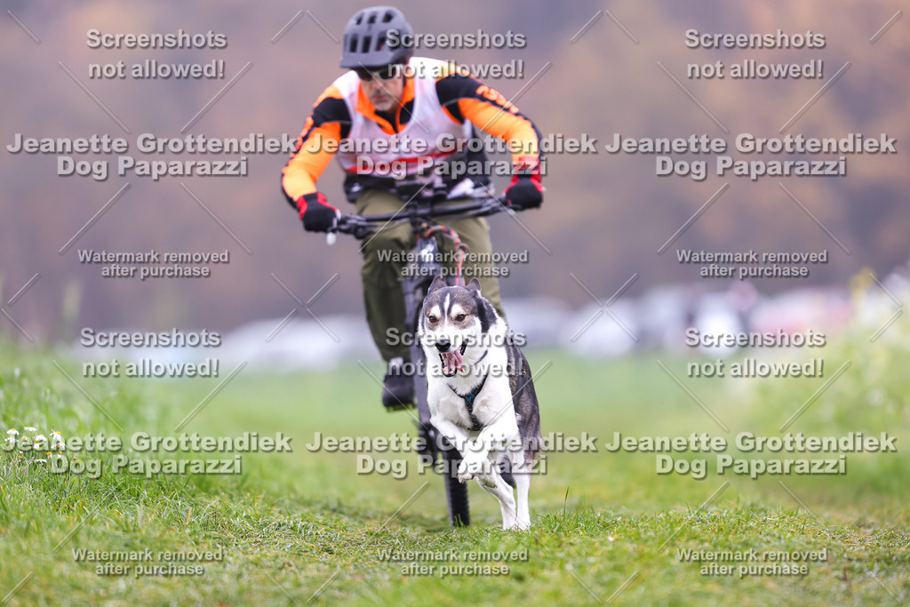 Dog Paparazzi - Visbeck 25 -200 | Dog Paparazzi Jeanette Grottendiek Fotografie & Videografie - Realisiert mit Pictrs.com