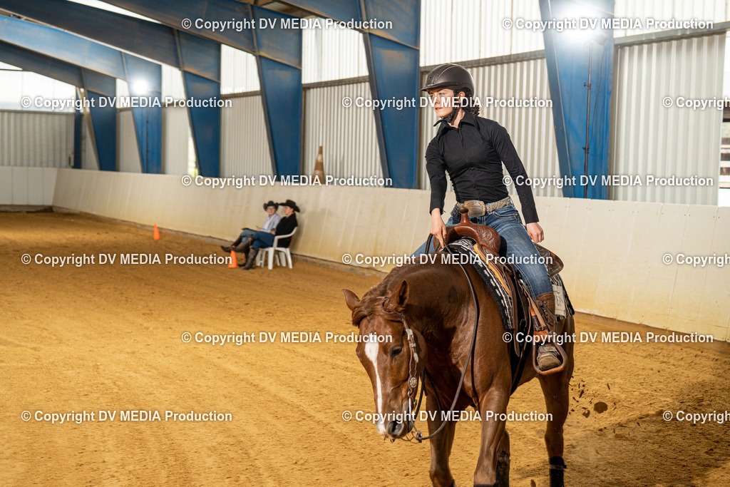 MIT00238 | dv-media-shop - Realisiert mit Pictrs.com