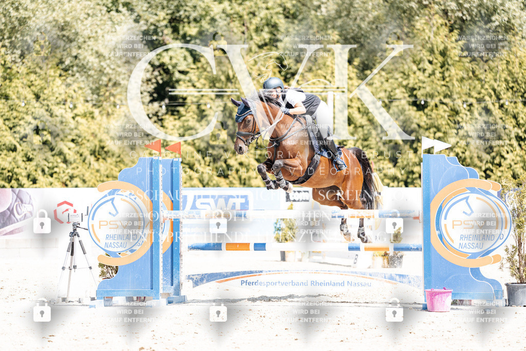 CK900749 | Turnierfotografie Pferdefotografie Trier Rheinland-Pfalz Pferdesport Reitsport Tierfotografie Sportfotografie Pferdevideo Pferdevideografie Equestrianvideography equestrianphotography  - Realisiert mit Pictrs.com