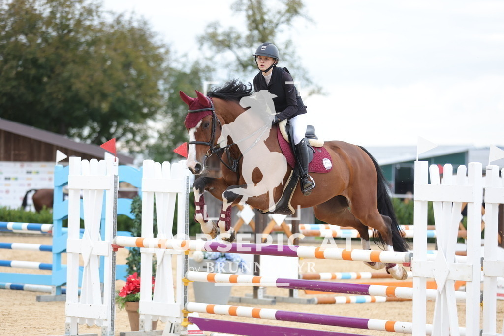 0P6A0169 | Willkommen bei Brunnmayr - Design & Fotografie – Ihrem Spezialisten für Reitturniere und Pferdeveranstaltungen in Oberösterreich, Salzburg und Bayern! Seit über 17 Jahren sind wir leidenschaftlich dabei.