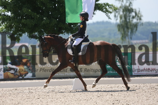 Rot am See_2024_Prfg.Nr.21_Qual.BCH_und_LCH_5-jähr.Ponys_Matilda Buchbach_Dundees Quadriga (12) | Alle Fotos der Reiterjournal Fotografin Doris Matthaes im Reiterjournal Online-Fotoshop. - Realisiert mit Pictrs.com