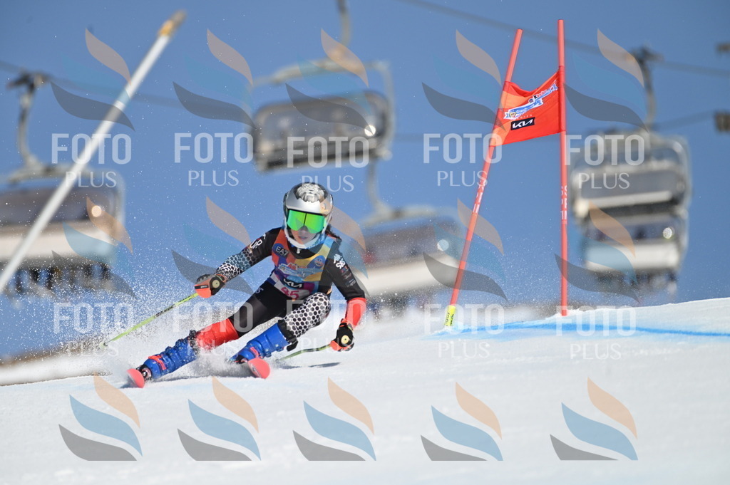 BGV_8435 | holidayphoto