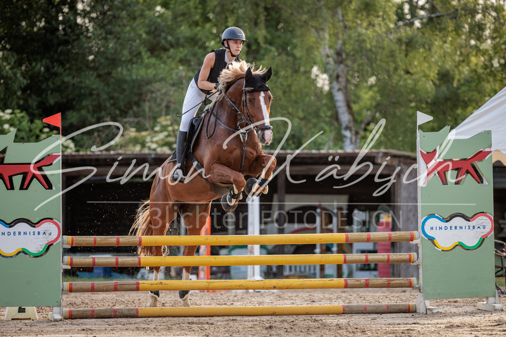 20260529-_3LI1733 | Tierfotografie Pferde, Hunde, Katzen, Haustiere.
Turnierfotografie Reitturniere, Reiten, Springreiten, Dressur in Hanau, dem Main-Kinzig-Kreis und dem Rhein-Main- Gebiet um Frankfurt