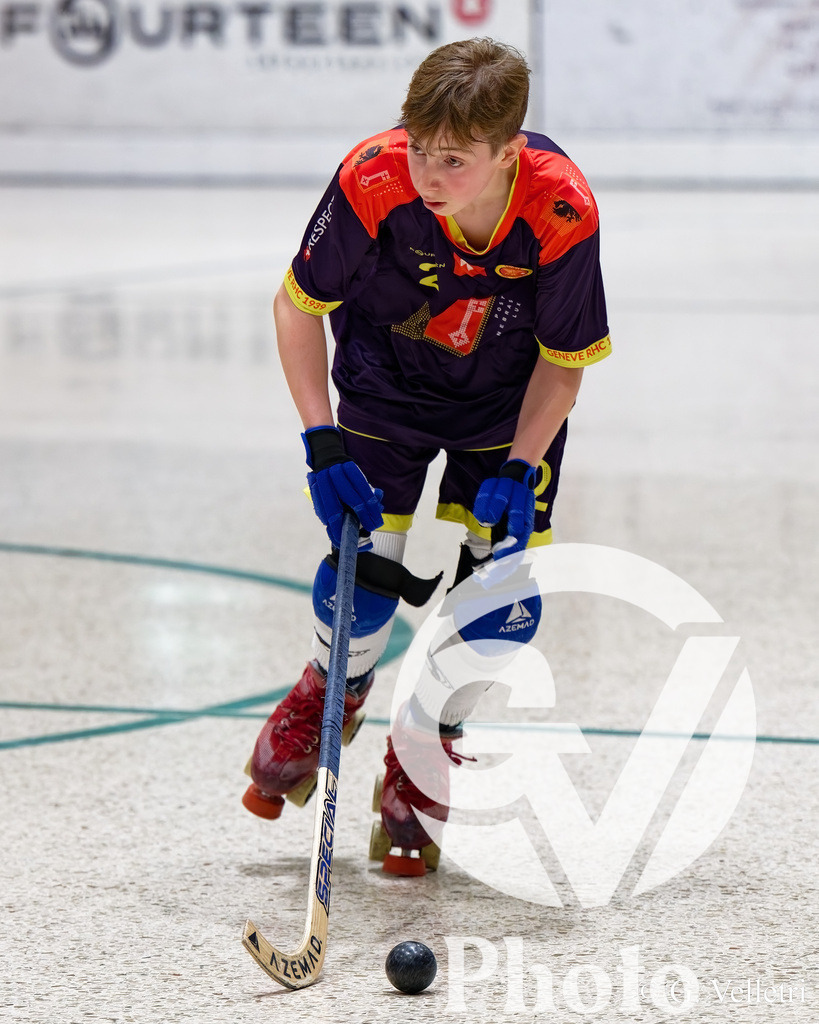 DZ8_2344 | Velletri Photo