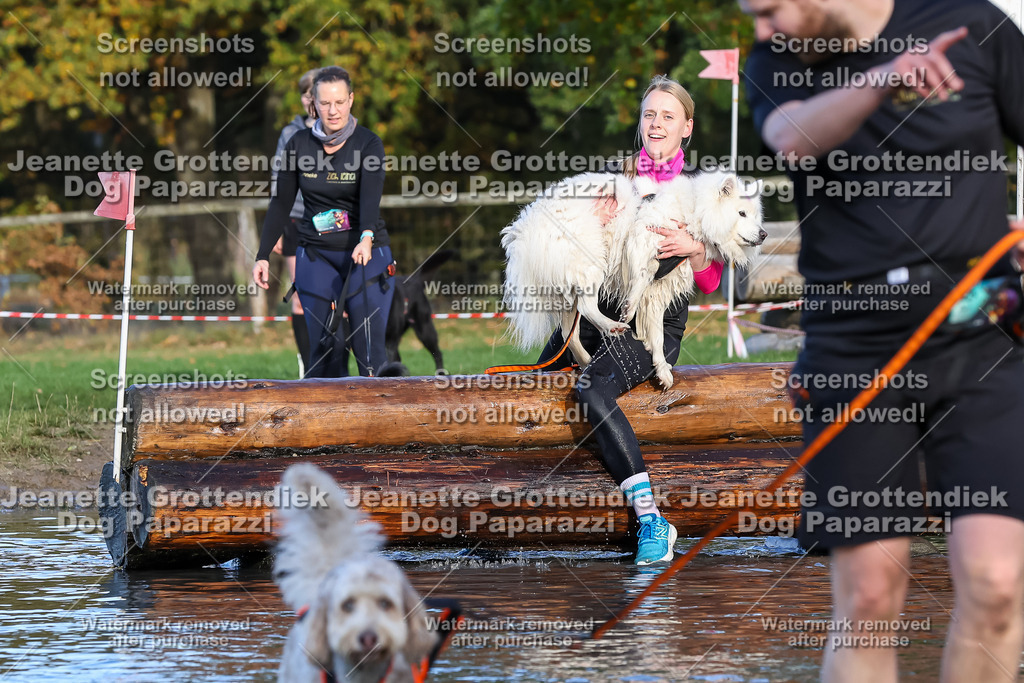 Dog Paparazzi - Strongdog 10-25-8599 | Dog Paparazzi Jeanette Grottendiek Fotografie & Videografie - Realisiert mit Pictrs.com