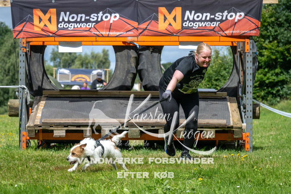 1334_ZZ90487 | kk-dogfotos