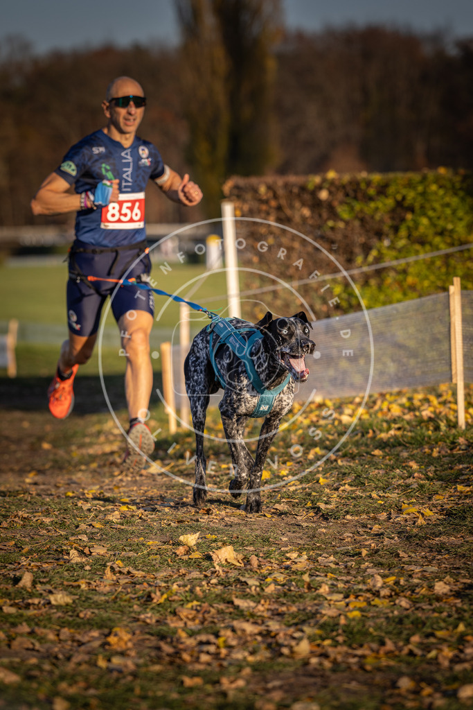 CaniXpix_DV3A3971 | Hundefotografie, Tierfotograf, Pfotenfotografie, Fotoshooting Hund, Hunde Portrait, Hundesport, Hundeportraits, Heideshooting, Hunde, Sportfotograf, Hundefotograf, Turnierhundsport, THS,  - Realisiert mit Pictrs.com