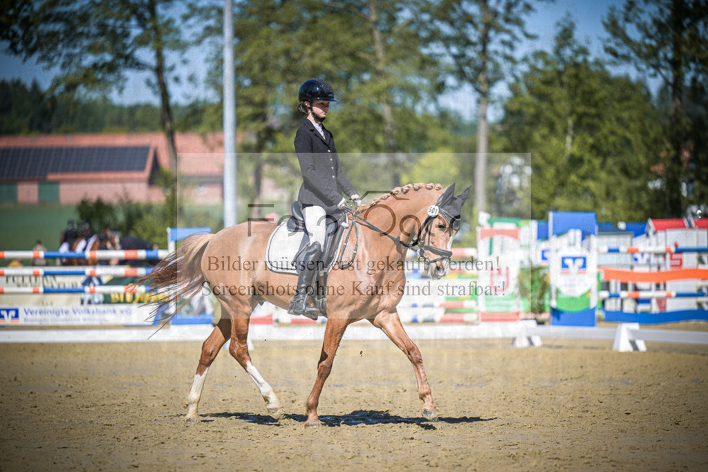 DOS_5115 | Entdecke hochwertige Reitturnierfotos von Foto Oger. Professionell, emotional und authentisch – jetzt Lieblingsmomente im Shop bestellen.Deutschlandweite Turnierfotografie. - Realisiert mit Pictrs.com