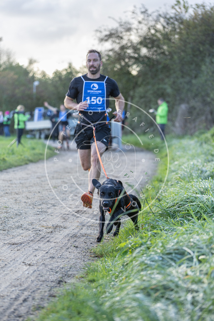 Pfotenfotografie.de_DV3A2792 | Hundefotografie, Tierfotograf, Pfotenfotografie, Fotoshooting Hund, Hunde Portrait, Hundesport, Hundeportraits, Heideshooting, Hunde, Sportfotograf, Hundefotograf, Turnierhundsport, THS, canicross - Realisiert mit Pictrs.com